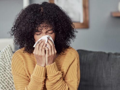 Indoor Air Quality in Scottsdale, AZ